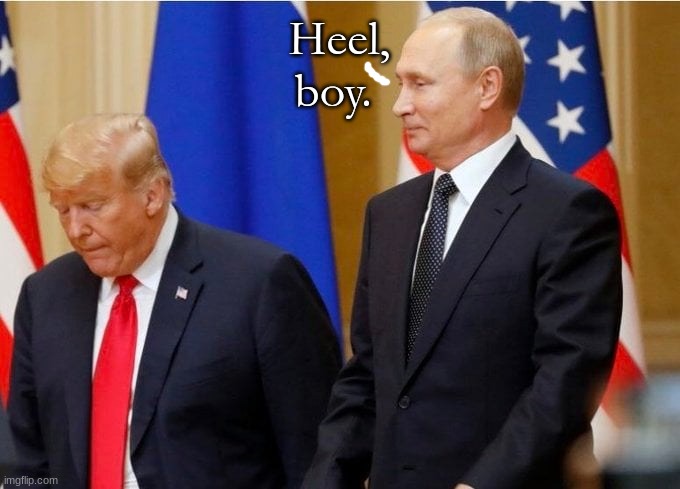 The master and his lapdog | Heel, boy. | image tagged in the master and his lapdog | made w/ Imgflip meme maker