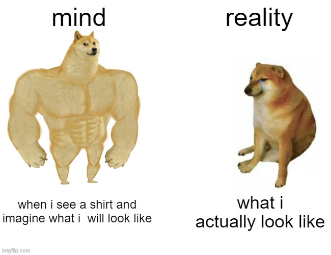 Buff Doge vs. Cheems | mind; reality; when i see a shirt and imagine what i  will look like; what i actually look like | image tagged in memes,buff doge vs cheems | made w/ Imgflip meme maker