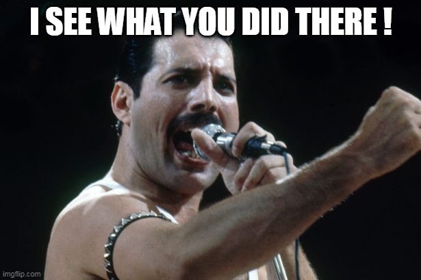 Freddie Mercury | I SEE WHAT YOU DID THERE ! | image tagged in freddie mercury | made w/ Imgflip meme maker