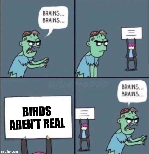 Birds Aren't Real Is Stupid | image tagged in bird,brain,zombie,memes | made w/ Imgflip meme maker
