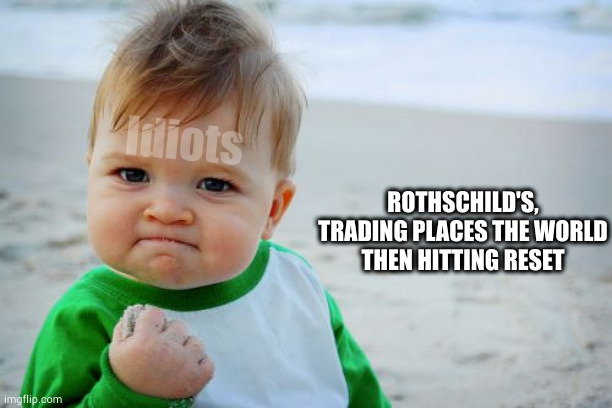 gumdrops | Idiots; ROTHSCHILD'S, TRADING PLACES THE WORLD
THEN HITTING RESET | image tagged in memes,success kid original | made w/ Imgflip meme maker