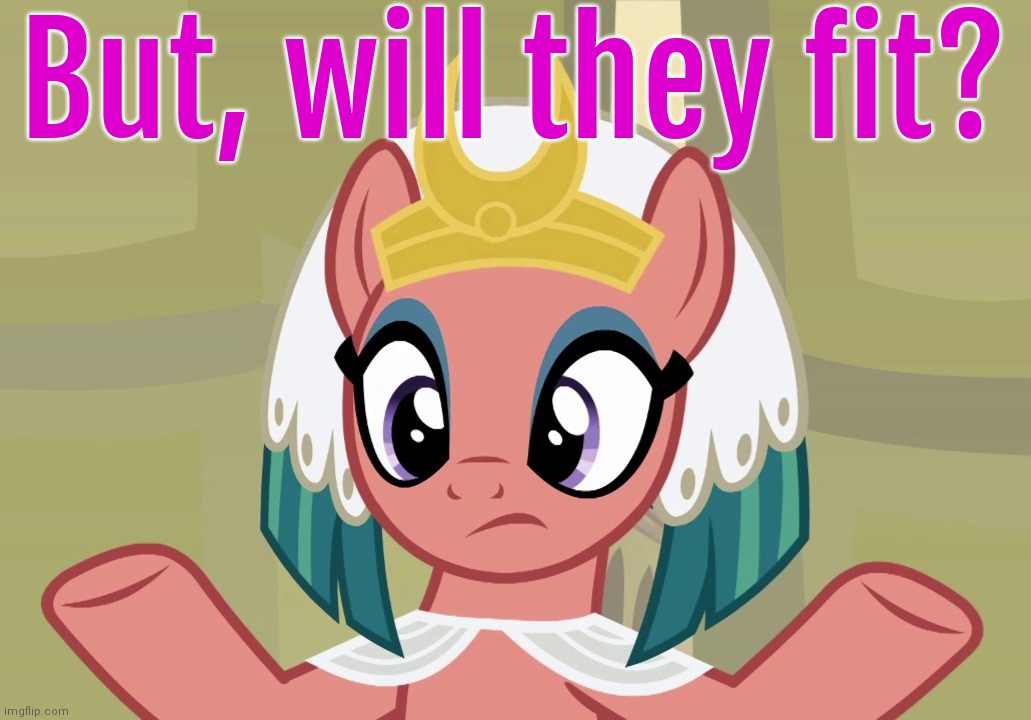 Concerned Somnambula (MLP) | But, will they fit? | image tagged in concerned somnambula mlp | made w/ Imgflip meme maker