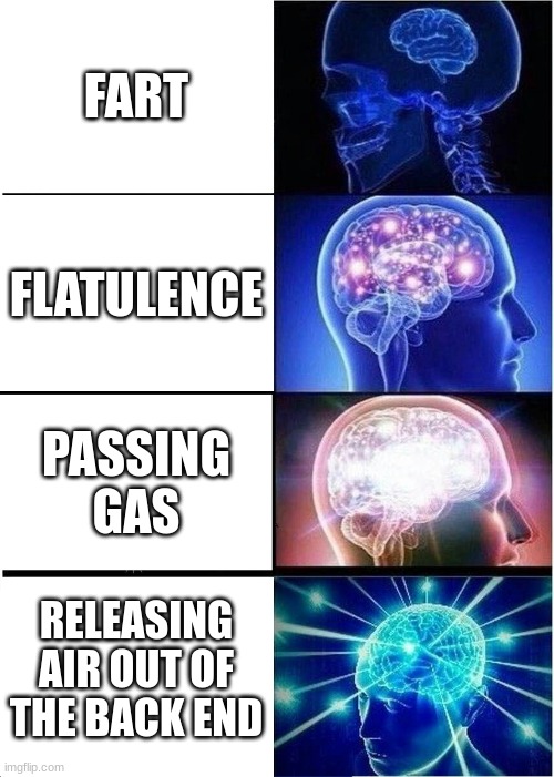 Expanding Brain Meme | FART; FLATULENCE; PASSING GAS; RELEASING AIR OUT OF THE BACK END | image tagged in memes,expanding brain | made w/ Imgflip meme maker