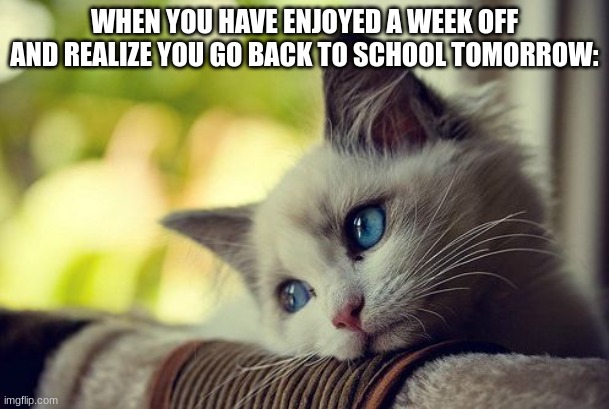 First World Problems Cat | WHEN YOU HAVE ENJOYED A WEEK OFF AND REALIZE YOU GO BACK TO SCHOOL TOMORROW: | image tagged in memes,first world problems cat,school,sucks | made w/ Imgflip meme maker