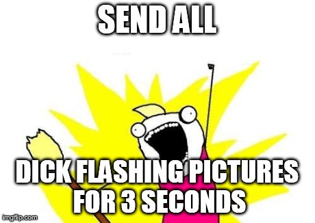X All The Y Meme | SEND ALL DICK FLASHING PICTURES FOR 3 SECONDS | image tagged in memes,x all the y | made w/ Imgflip meme maker