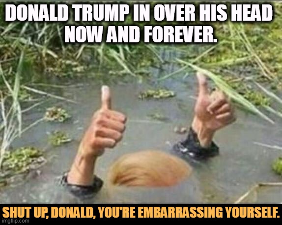 Donald Trump, tool for the Russian Mob since 1980. | DONALD TRUMP IN OVER HIS HEAD 
NOW AND FOREVER. SHUT UP, DONALD, YOU'RE EMBARRASSING YOURSELF. | image tagged in trump swamp creature,trump,incompetence,embarrassing,corrupt | made w/ Imgflip meme maker