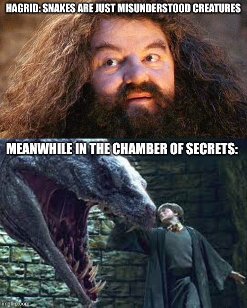Snakes are just misunderstood creatures | HAGRID: SNAKES ARE JUST MISUNDERSTOOD CREATURES; MEANWHILE IN THE CHAMBER OF SECRETS: | made w/ Imgflip meme maker