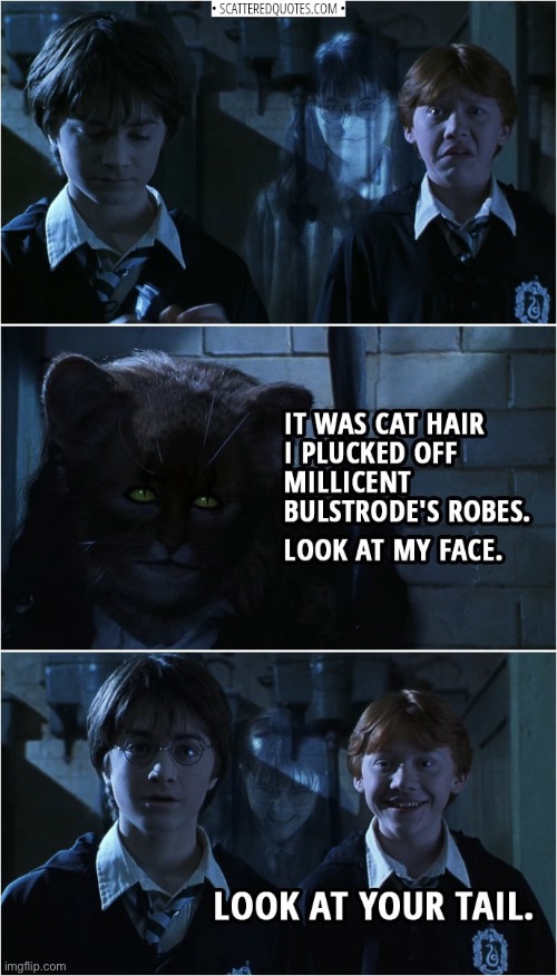 Ron always has humour by his side | made w/ Imgflip meme maker