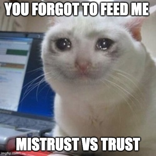 Crying cat | YOU FORGOT TO FEED ME; MISTRUST VS TRUST | image tagged in crying cat | made w/ Imgflip meme maker