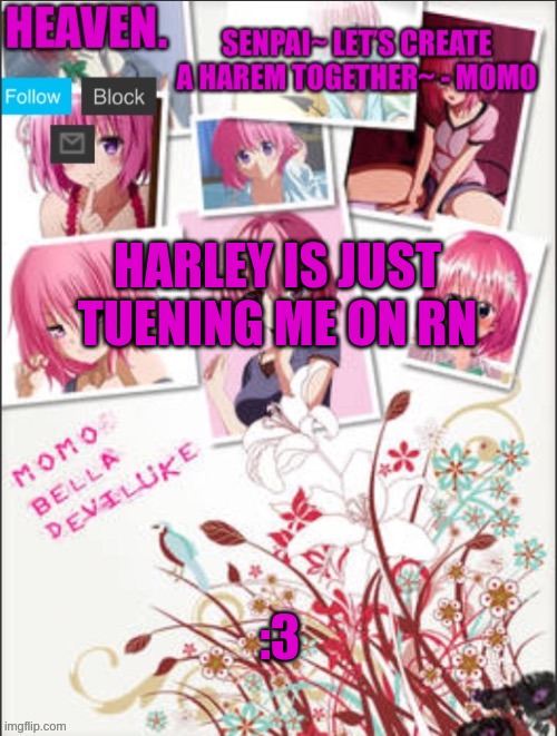 uwu | HARLEY IS JUST TUENING ME ON RN; :3 | image tagged in heaven temp | made w/ Imgflip meme maker