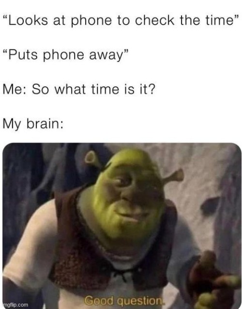 WHY DOES THIS ALWAYS HAPPEN | image tagged in shrek,too funny | made w/ Imgflip meme maker