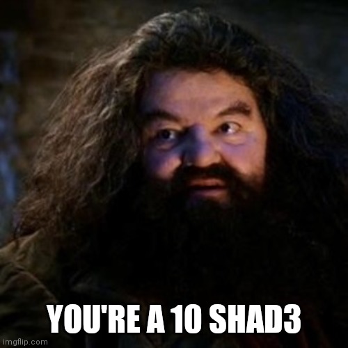 You're a wizard harry | YOU'RE A 10 SHAD3 | image tagged in you're a wizard harry | made w/ Imgflip meme maker