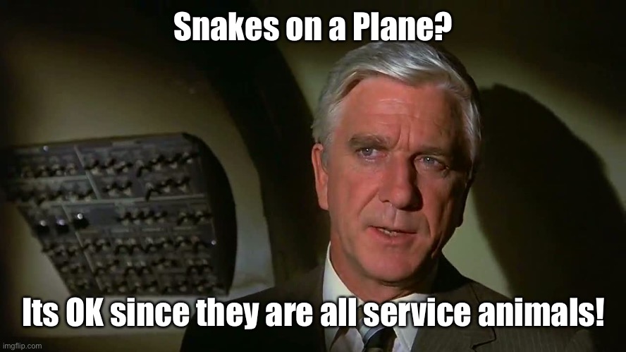 Airplane! | Snakes on a Plane? Its OK since they are all service animals! | image tagged in airplane | made w/ Imgflip meme maker