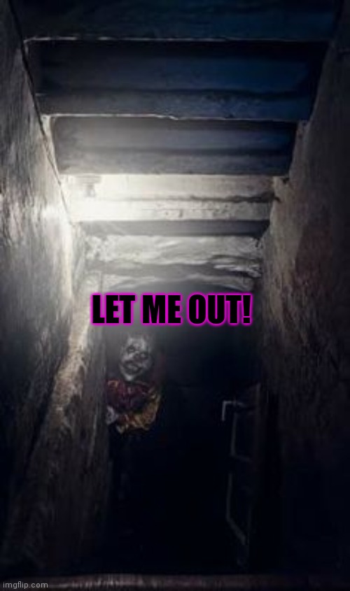 Don't fall for it! | LET ME OUT! | image tagged in basement clown,basement dweller,clown,girlfriend | made w/ Imgflip meme maker