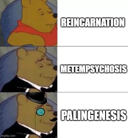 Reincarnation vs Metempsychosis vs Palingenesis | REINCARNATION; METEMPSYCHOSIS; PALINGENESIS | image tagged in fancy pooh,reincarnation,metempsychosis,palingenesis | made w/ Imgflip meme maker