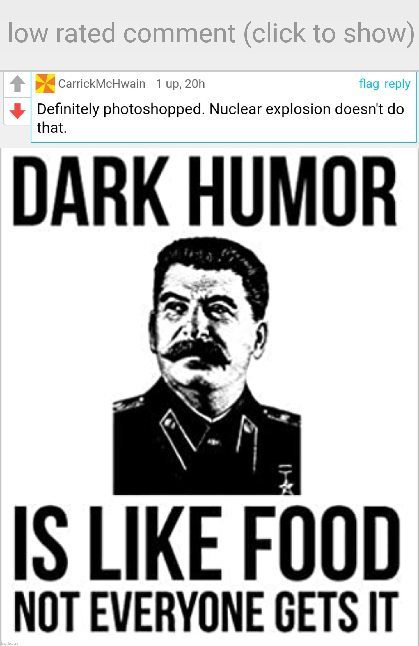 Why do they have to ruin the joke? | image tagged in low-rated comment imgflip,dark humor is like food not everyone gets it | made w/ Imgflip meme maker