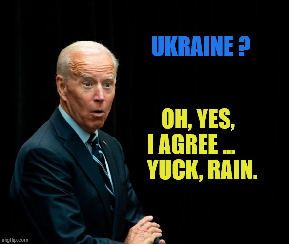 Ukraine ... Yuck, Rain | UKRAINE ? OH, YES,  
I AGREE ...     
YUCK, RAIN. | image tagged in biden surprised | made w/ Imgflip meme maker