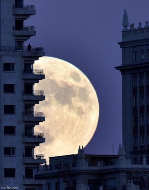 The Supermoon in the city | image tagged in cool pictures,moon,city,enjoy | made w/ Imgflip meme maker