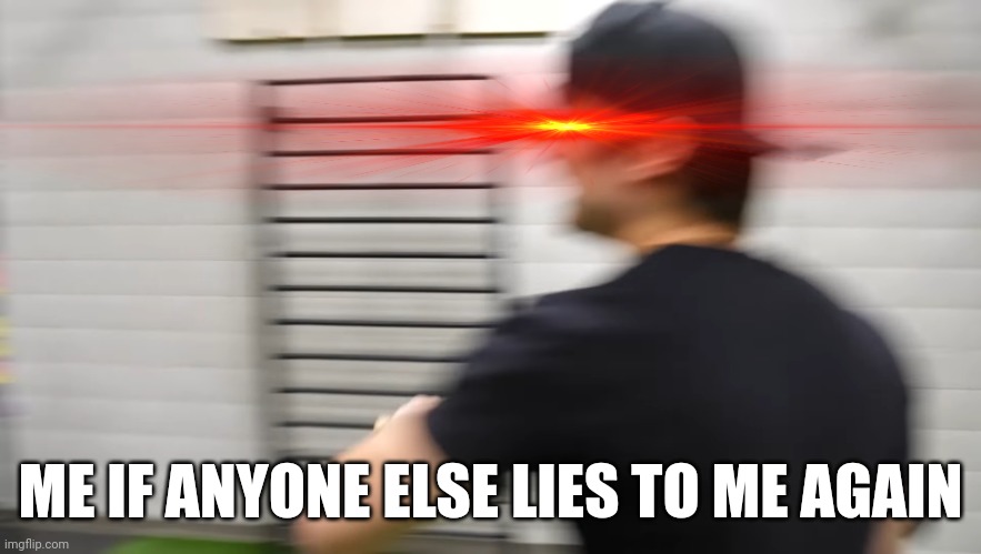 The statement haha |  ME IF ANYONE ELSE LIES TO ME AGAIN | image tagged in screaming justdustin,memes,justdustin,savage memes,liars,statement | made w/ Imgflip meme maker