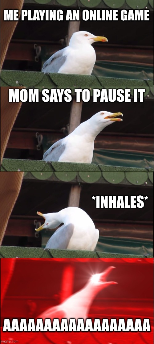 Seagle gamer | ME PLAYING AN ONLINE GAME; MOM SAYS TO PAUSE IT; *INHALES*; AAAAAAAAAAAAAAAAAA | image tagged in memes,inhaling seagull | made w/ Imgflip meme maker