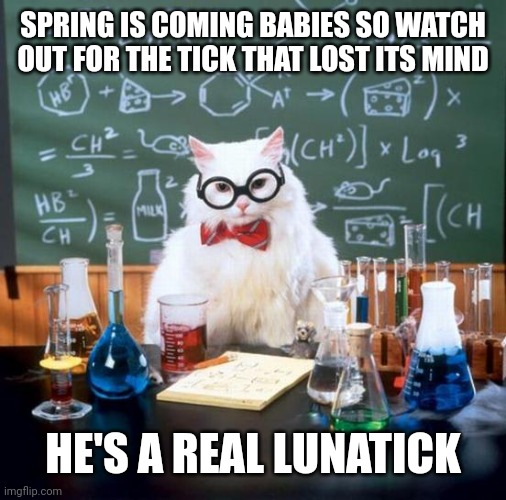 Chemistry Cat |  SPRING IS COMING BABIES SO WATCH OUT FOR THE TICK THAT LOST ITS MIND; HE'S A REAL LUNATICK | image tagged in memes,chemistry cat | made w/ Imgflip meme maker