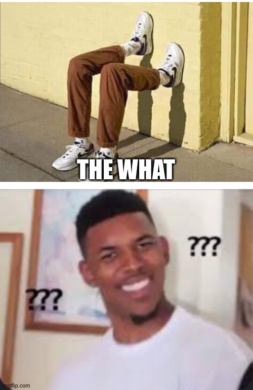What the heck | THE WHAT | image tagged in blank white template,what,how | made w/ Imgflip meme maker