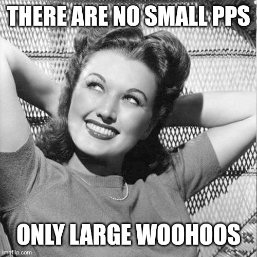 THERE ARE NO SMALL PPS; ONLY LARGE WOOHOOS | image tagged in funny memes | made w/ Imgflip meme maker