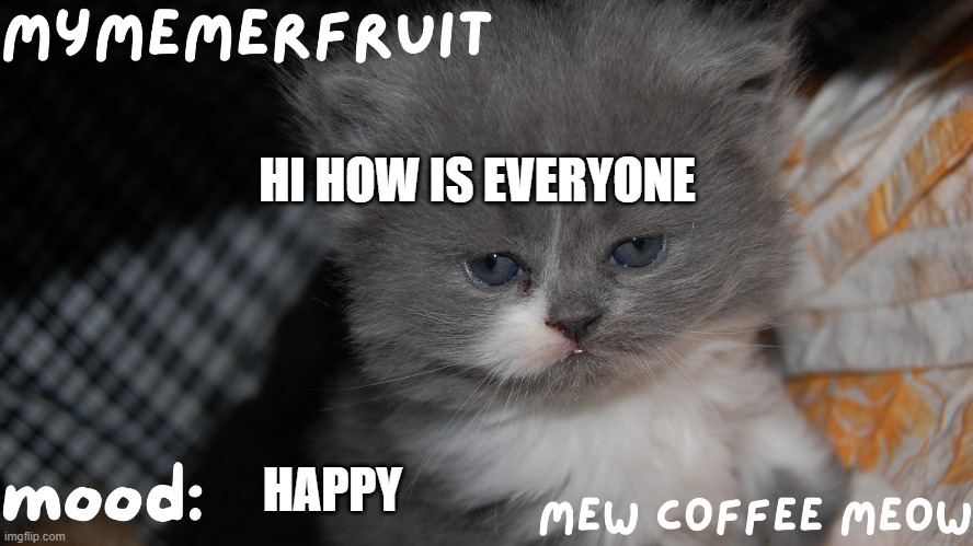 MyMemerFruit Temp 1 | HI HOW IS EVERYONE; HAPPY | image tagged in mymemerfruit temp 1 | made w/ Imgflip meme maker