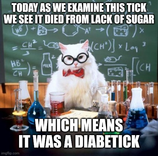 Chemistry Cat |  TODAY AS WE EXAMINE THIS TICK WE SEE IT DIED FROM LACK OF SUGAR; WHICH MEANS IT WAS A DIABETICK | image tagged in memes,chemistry cat | made w/ Imgflip meme maker