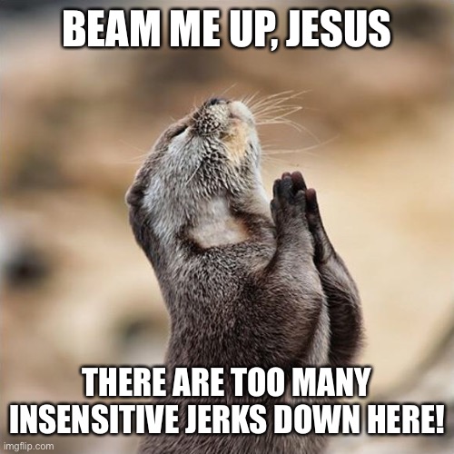 Praying Otter |  BEAM ME UP, JESUS; THERE ARE TOO MANY INSENSITIVE JERKS DOWN HERE! | image tagged in praying otter | made w/ Imgflip meme maker