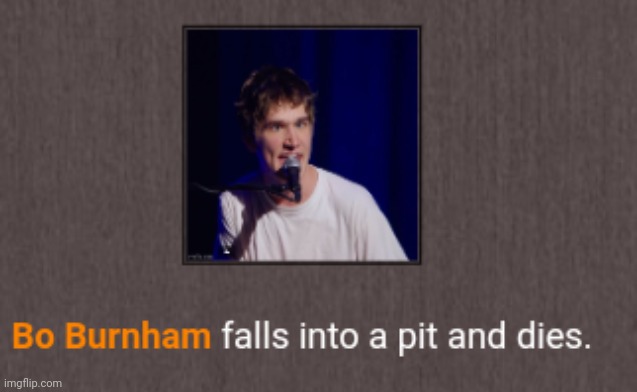 image tagged in bo burnham falls into a pit and dies | made w/ Imgflip meme maker