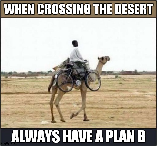 Be Prepared ! |  WHEN CROSSING THE DESERT; ALWAYS HAVE A PLAN B | image tagged in camel,bicycle,be prepared,plan b | made w/ Imgflip meme maker