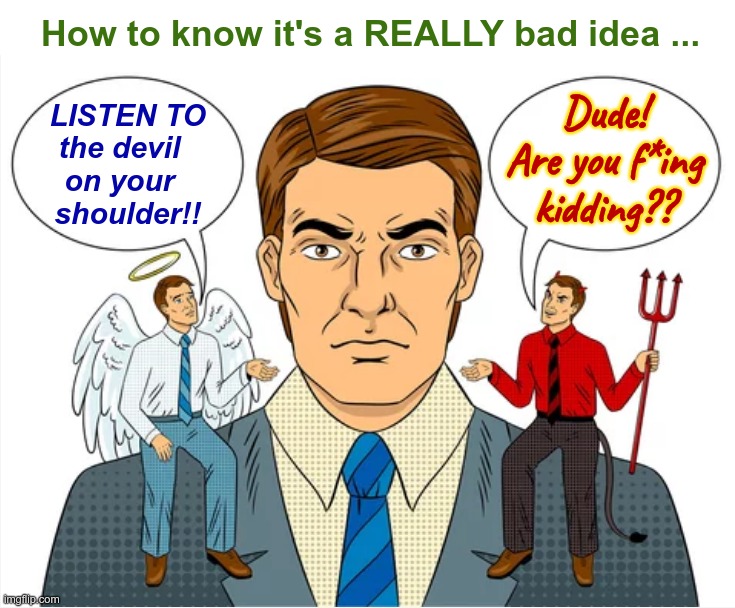 It Seemed Like a Good Idea at the Time ... | How to know it's a REALLY bad idea ... Dude!
Are you f*ing
kidding?? LISTEN TO
the devil  
on your  
shoulder!! | image tagged in bad ideas,angels,devil,rick75230 | made w/ Imgflip meme maker