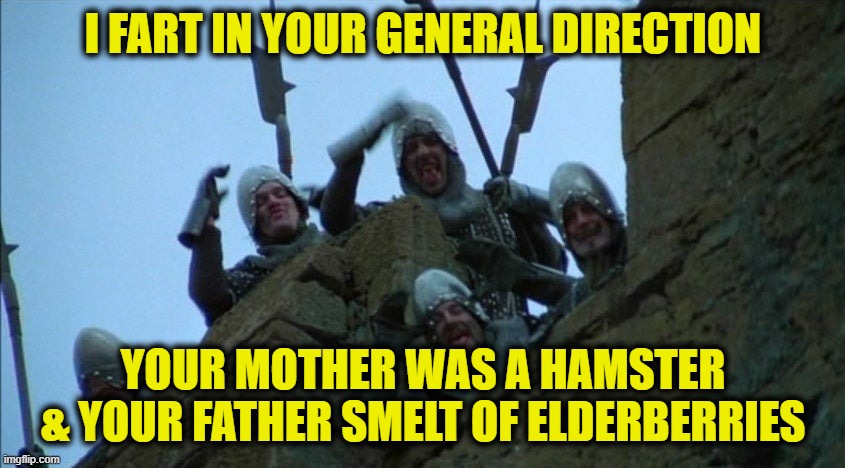 I fart in your general direction |  I FART IN YOUR GENERAL DIRECTION; YOUR MOTHER WAS A HAMSTER
& YOUR FATHER SMELT OF ELDERBERRIES | image tagged in insults | made w/ Imgflip meme maker
