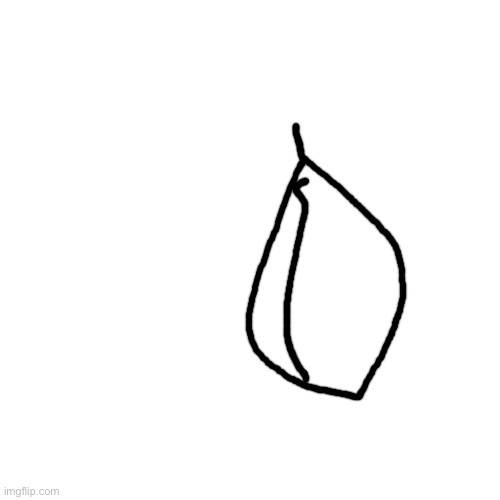 Blank Transparent Square | image tagged in memes,blank transparent square | made w/ Imgflip meme maker