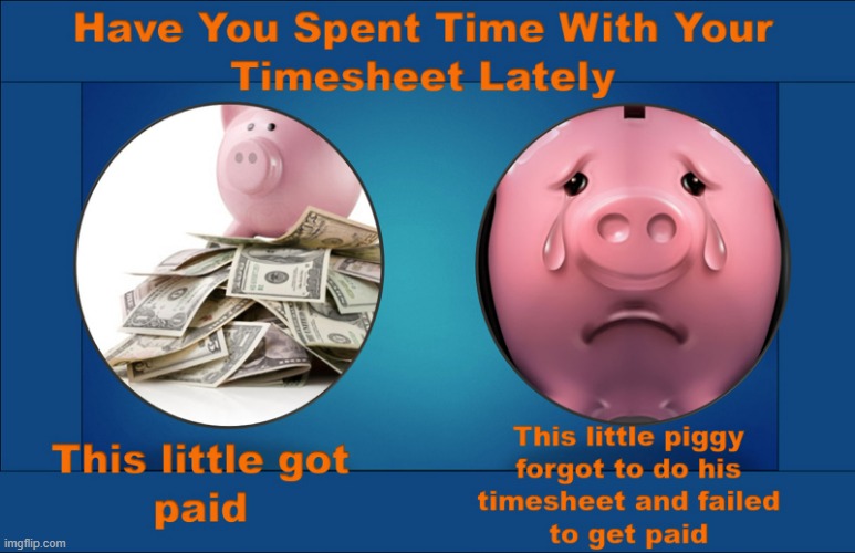 This Pig | image tagged in timesheet reminder,timesheet meme,this piggy,this pig | made w/ Imgflip meme maker