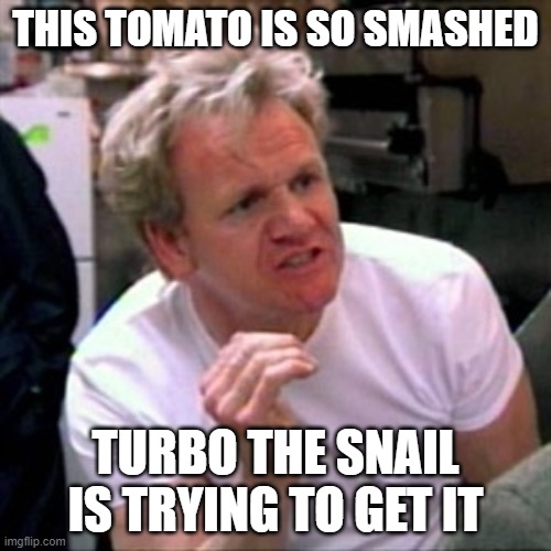 Smashed Tomato |  THIS TOMATO IS SO SMASHED; TURBO THE SNAIL IS TRYING TO GET IT | image tagged in gordon ramsey,memes | made w/ Imgflip meme maker