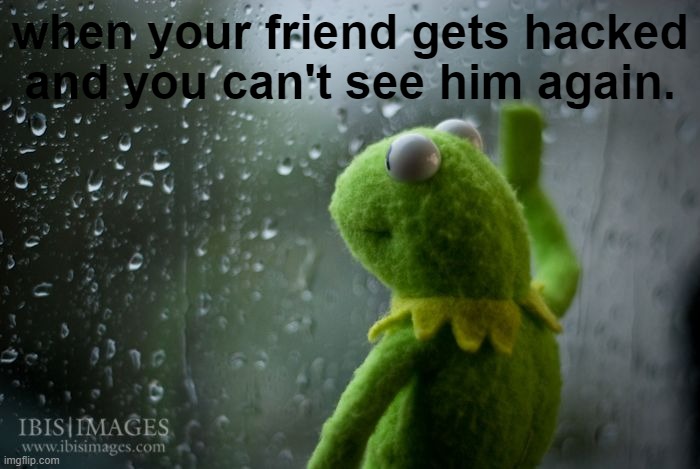 Sad. Pretty relatable if you have no life though. | when your friend gets hacked and you can't see him again. | image tagged in kermit window | made w/ Imgflip meme maker