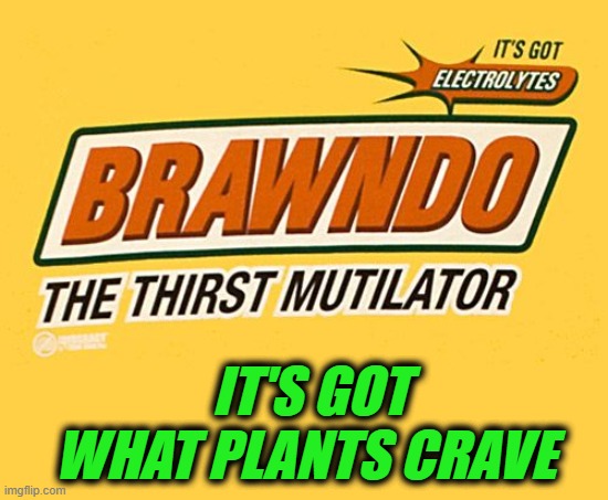 It's got what plants crave |  IT'S GOT WHAT PLANTS CRAVE | image tagged in idiocracy | made w/ Imgflip meme maker