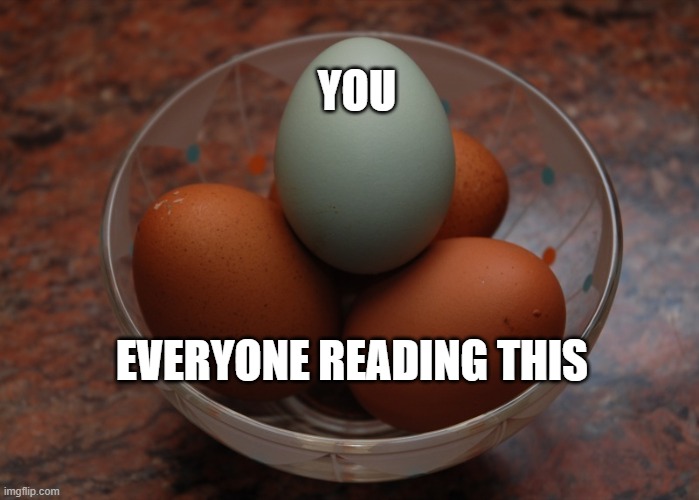 Blue egg among brown eggs | YOU EVERYONE READING THIS | image tagged in blue egg among brown eggs,memes | made w/ Imgflip meme maker