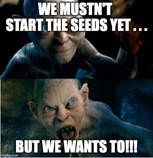 Gollum | WE MUSTN'T 
START THE SEEDS YET . . . BUT WE WANTS TO!!! | image tagged in gollum | made w/ Imgflip meme maker