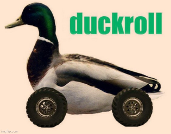 duckroll | image tagged in duckroll | made w/ Imgflip meme maker
