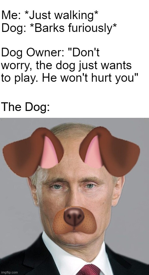 Me: *Just walking*

Dog: *Barks furiously*; Dog Owner: "Don't worry, the dog just wants to play. He won't hurt you"; The Dog: | made w/ Imgflip meme maker