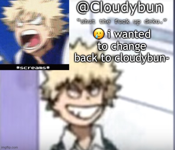 Bakuhoe | 🥲 i wanted to change back to cloudybun- | image tagged in bakuhoe | made w/ Imgflip meme maker