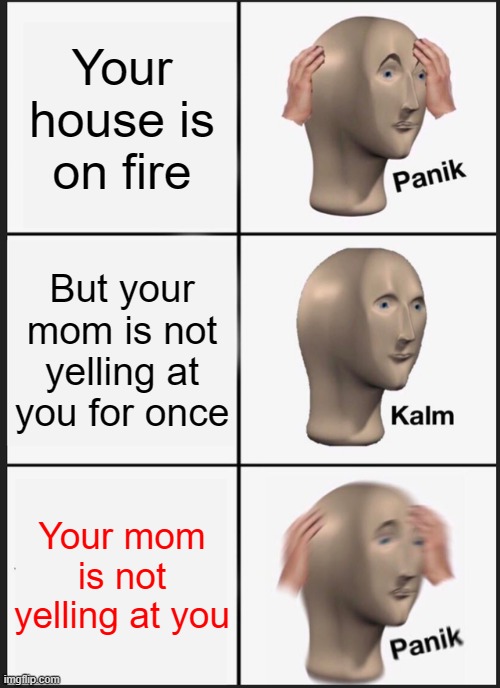 ok | Your house is on fire; But your mom is not yelling at you for once; Your mom is not yelling at you | image tagged in memes,panik kalm panik | made w/ Imgflip meme maker