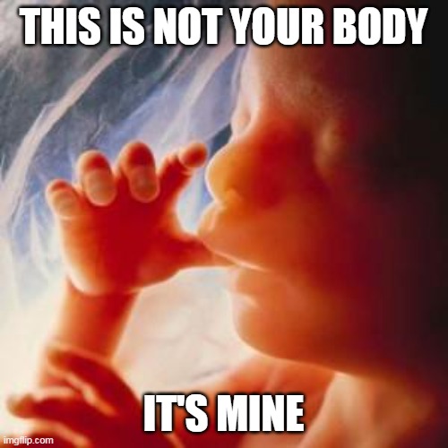 Fetus | THIS IS NOT YOUR BODY IT'S MINE | image tagged in fetus | made w/ Imgflip meme maker
