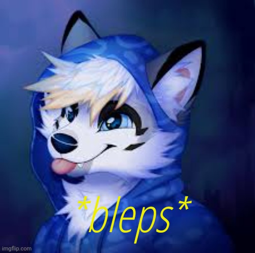 Furry Blep! | *bleps* | image tagged in furry blep | made w/ Imgflip meme maker