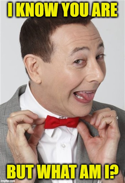 Pee-wee |  I KNOW YOU ARE; BUT WHAT AM I? | image tagged in insult | made w/ Imgflip meme maker