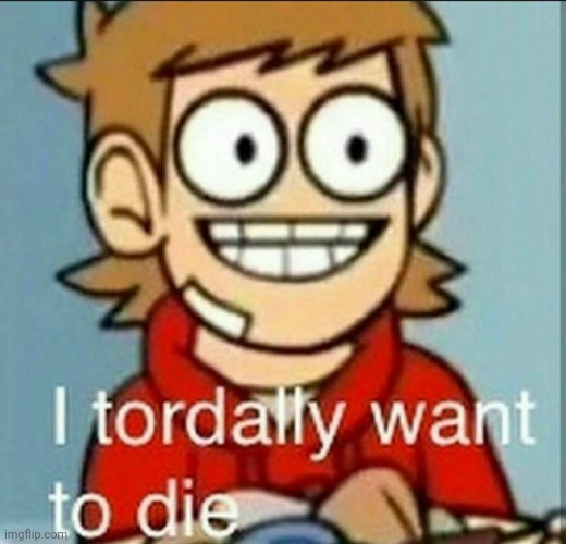 tordally haha get it? (please laugh im being held in my basement forced to make these stupid jokes) | made w/ Imgflip meme maker