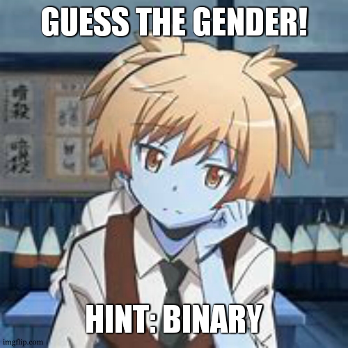 Please dont take offense, and if you know nagisa. shh | GUESS THE GENDER! HINT: BINARY | image tagged in nagisa shiota | made w/ Imgflip meme maker